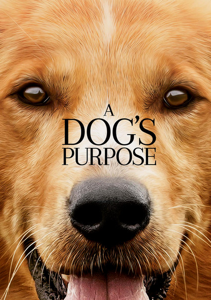 a dogs purpose netflix