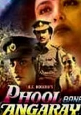 Phool Bane Angaray (1991) for Rent on DVD DVD Netflix