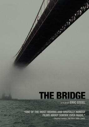 the bridge netflix france