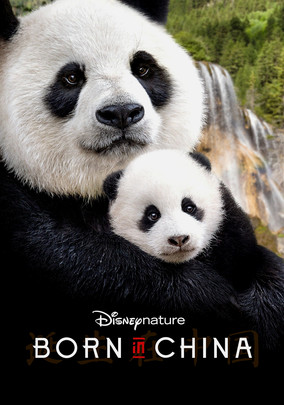 Rent Disneynature Movies and TV Shows and Blu-ray - DVD Netflix