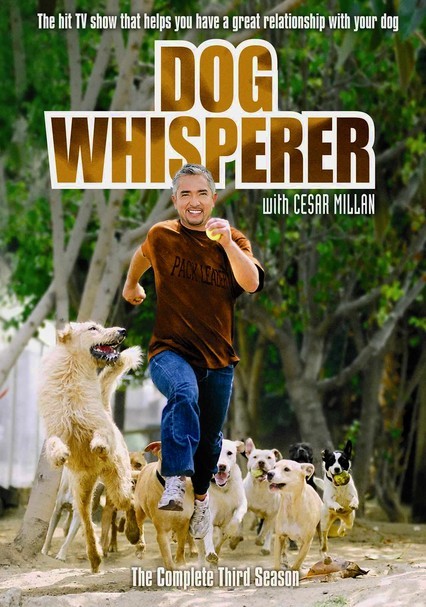 watch dog whisper