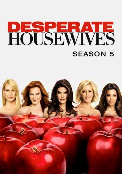 Rent Desperate Housewives (2004) on DVD and Blu-ray picture
