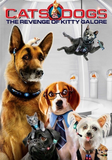 All About Cats And Dogs Movie Teller E Zine Photo Exhibition