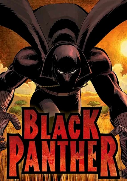 Rent Black Panther: The Animated Series (2009) on DVD and Blu-ray - DVD  Netflix