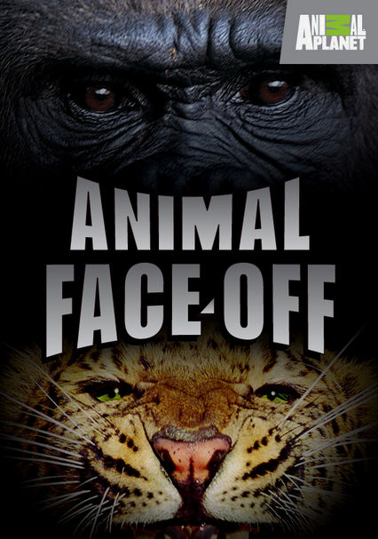 Rent Animal Face-off (2004) on DVD and Blu-ray - DVD Netflix